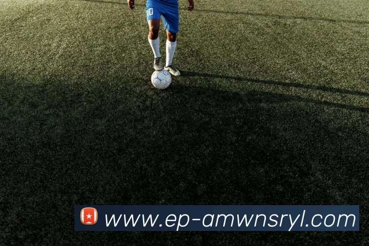 威尼斯人官网APP 高清赛事图